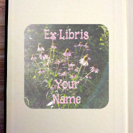 Echinacea Flowers in the Sun Bookplate スクエアシール
