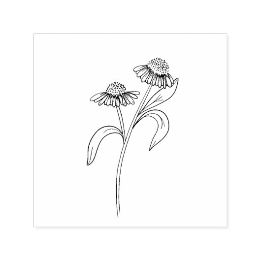 Echinacea Rubber Stamp セルフインキングスタンプ (デザイン)