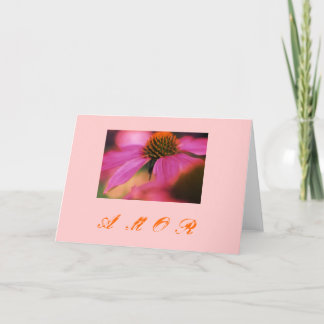 "Echinacea y amor " シーズンカード