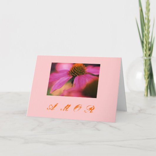 "Echinacea y amor " シーズンカード (正面)