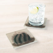 Echinocactusのhorizonthaloniusのサボテンのコースター ガラスコースター (アングル)