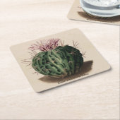 Echinocactusのpentacanthusのサボテンのコースター スクエアペーパーコースター (アングル)