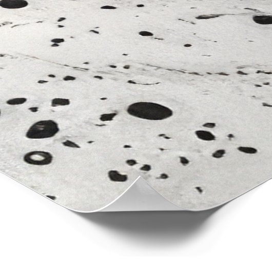 Echoes of the Future ポスター (角)