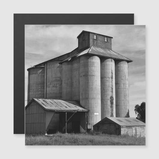 Echoes of the Harvest (正面/裏面)