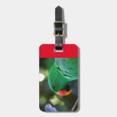 Eclectusのオウムが付いている荷物のラベル ラゲッジタグ (正面縦)