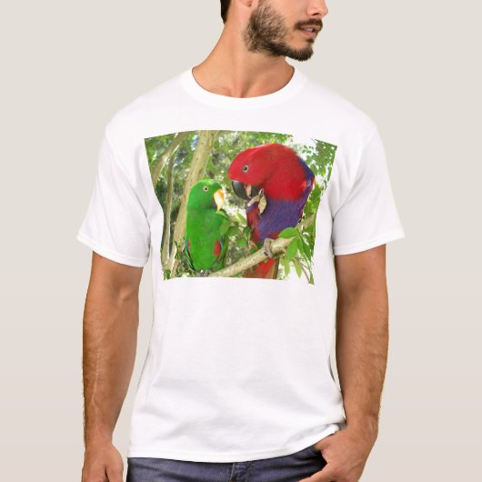 Eclectusの組 Tシャツ (正面)