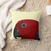 Eclectusの装飾用クッションの赤 クッション (ブランケット)