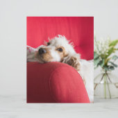 ecsオレンジと白チリン (スタンド正面)