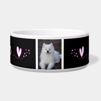 Écuelle Ecuelle, bol pour chien, chat, animal de c ボウル