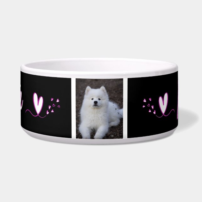 Écuelle Ecuelle, bol pour chien, chat, animal de c ボウル (正面)