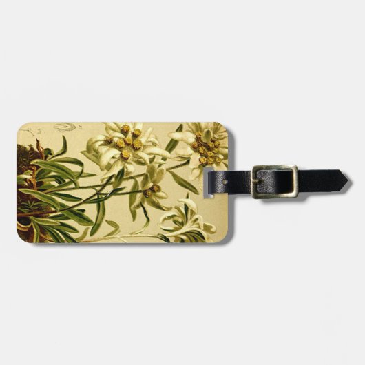 Edelweissのラベル ラゲッジタグ (正面横)