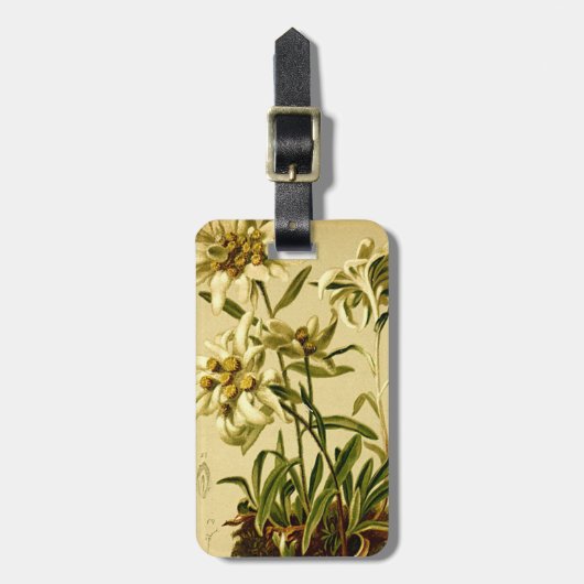 Edelweissのラベル ラゲッジタグ (正面縦)