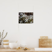 Edelweissポスター紙（マット） ポスター (キッチン)