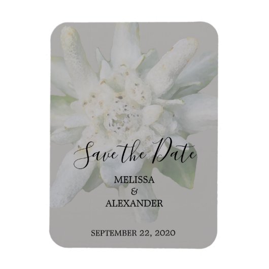 Edelweiss素朴花結婚式の日付を保存 マグネット (縦)