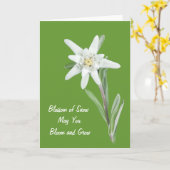 Edelweiss カード (黄色い花)