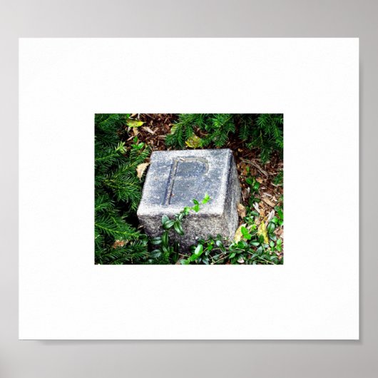 EDGAR ALAN POE足マーカーBALTIMORE MD 021911 ポスター (正面)