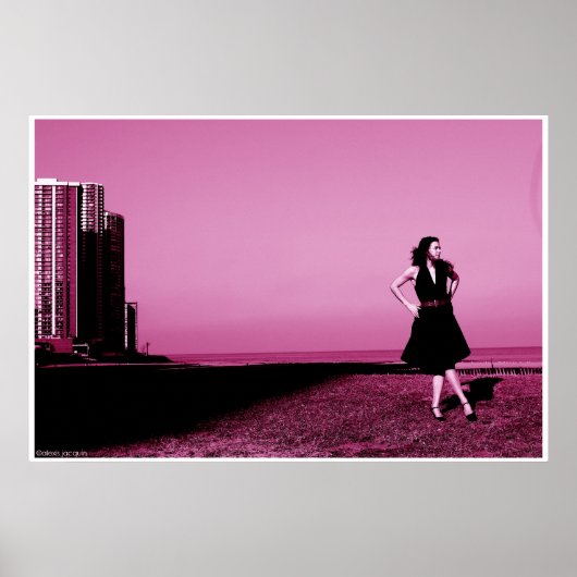 Edgewaterビーチ, ILL 2006 ポスター (正面)