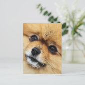 Edgrrr #1 ポストカード (スタンド正面)