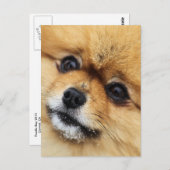 Edgrrr #1 ポストカード (正面/裏面)