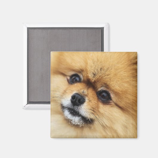 Edgrrr #1 マグネット (正面/裏面)