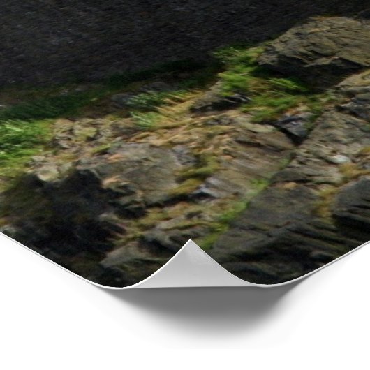 edinburgh castle gull ポスター (角)