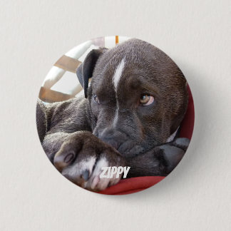 Editable Baby Pitbull Puppies 缶バッジ