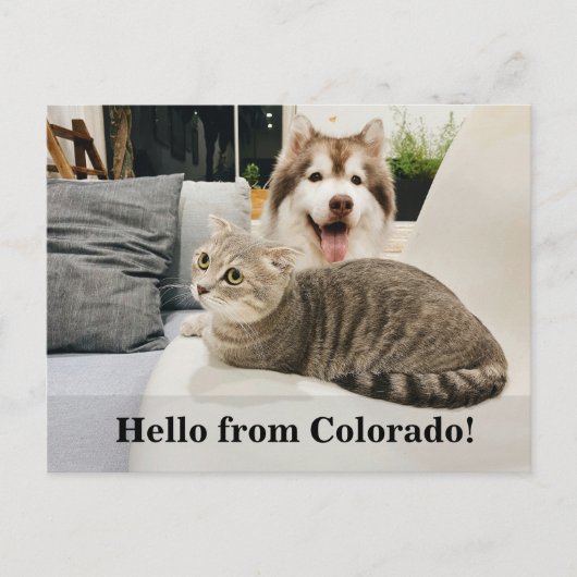 Editable Hello Neighbor, New Address, intro 案内ポストカード (正面)