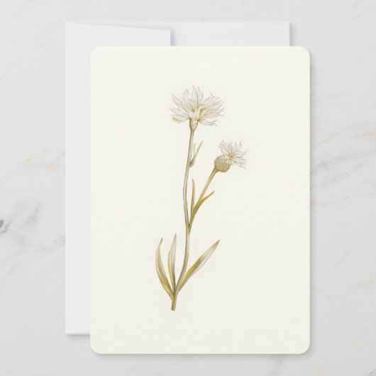 Editable Minimalist Gold Botanical Wedding Invite 招待状 (裏面)