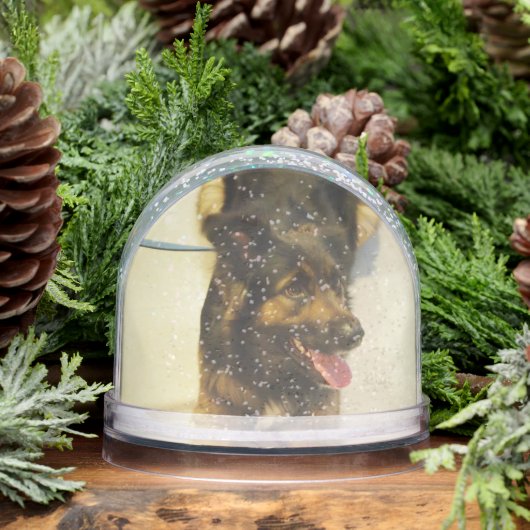 Editable Pet Photo Name and Dates (冬)