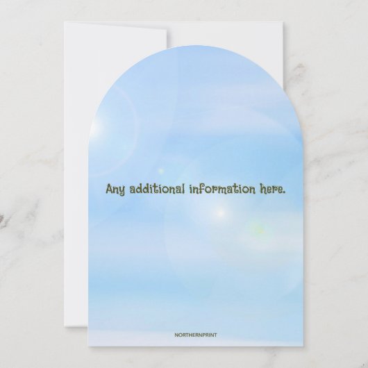 Editable Pilot and Plane Birthday 招待状 (裏面)