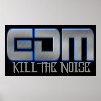 EDMがノイズを殺す ポスター