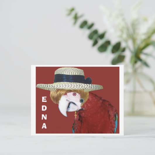 EDNA ポストカード (スタンド正面)