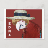 EDNA ポストカード (正面)