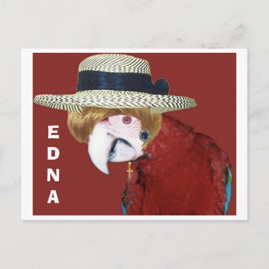 EDNA ポストカード (正面)