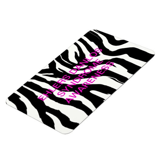 EDS磁石 マグネット (左側)