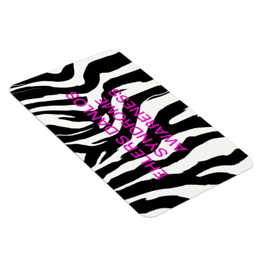 EDS磁石 マグネット (右側)