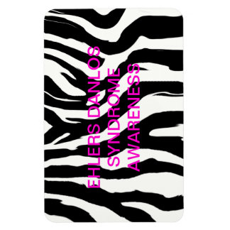 EDS磁石 マグネット