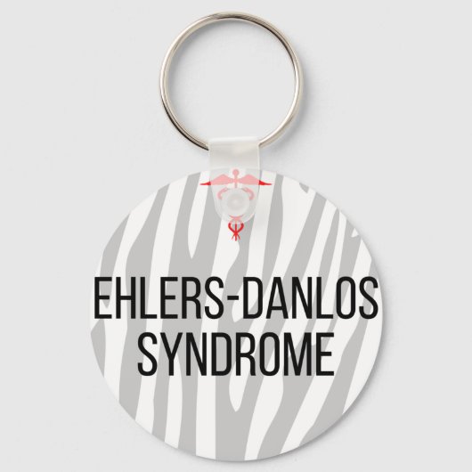 EDS キーホルダー (正面)