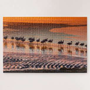 Eduardo Abaroa Andean Fauna National Reserve ジグソーパズル