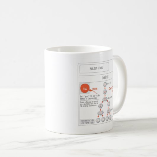 EduPaperプロダクト有糸分裂および減数分裂のコーヒー・マグ コーヒーマグカップ (正面右)