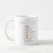 EduPaperプロダクト有糸分裂および減数分裂のコーヒー・マグ コーヒーマグカップ (左)