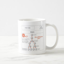 EduPaperプロダクト有糸分裂および減数分裂のコーヒー・マグ コーヒーマグカップ