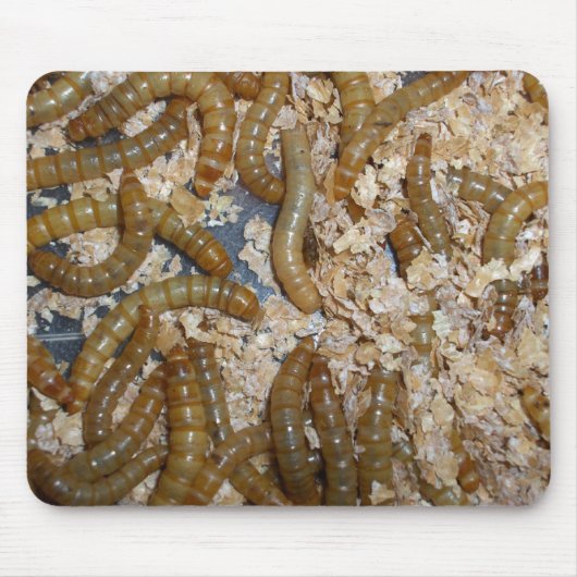 Eeewww… -マウスパッド マウスパッド (正面)