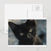 EEK黒猫怖い ポストカード (正面/裏面)