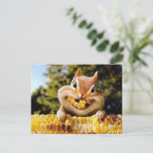 eekhoorn ポストカード (スタンド正面)