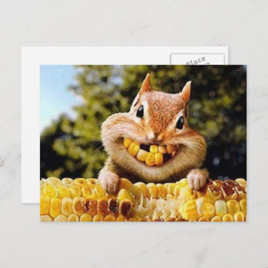 eekhoorn ポストカード (正面/裏面)