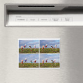 Een fubby Stripverhaal over de liefde. マグネット (インサイチュ (食洗機))