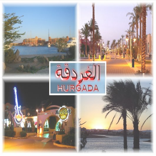 EGエジプト – Hurghada by Night – 紅海 – エルガン シール (正面)