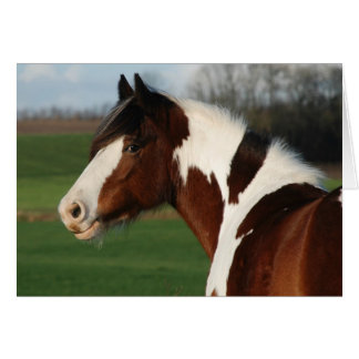 Egehojsの専攻学生