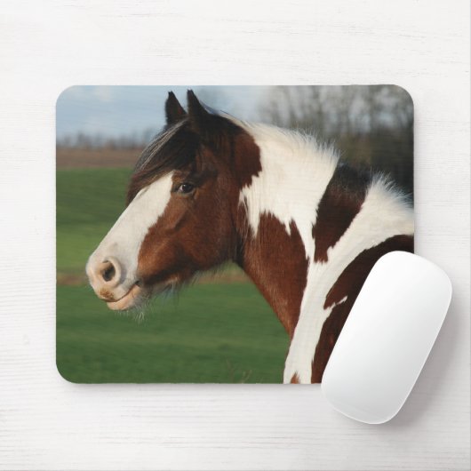 Egehojsの専攻学生 マウスパッド (マウス)